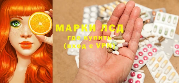 прущие грибы Бородино