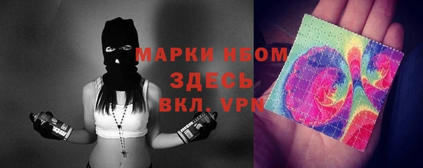 прущие грибы Бородино