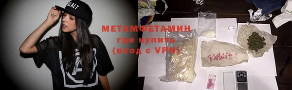 прущие грибы Бородино