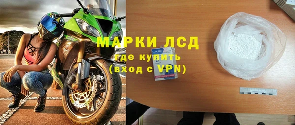 прущие грибы Бородино