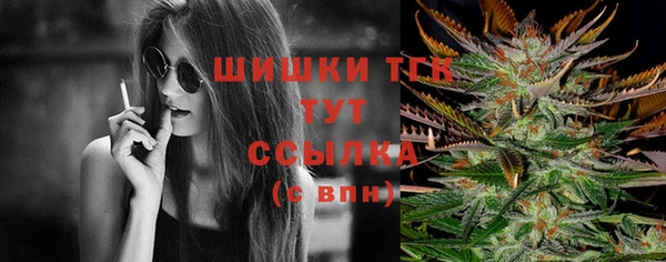 прущие грибы Бородино