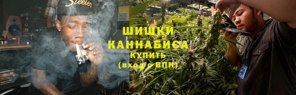 прущие грибы Бородино