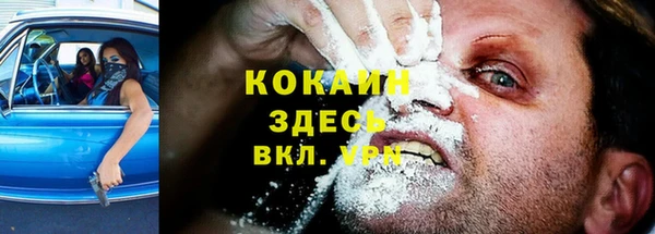 прущие грибы Бородино