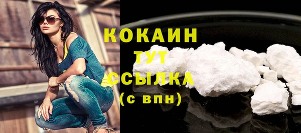 прущие грибы Бородино