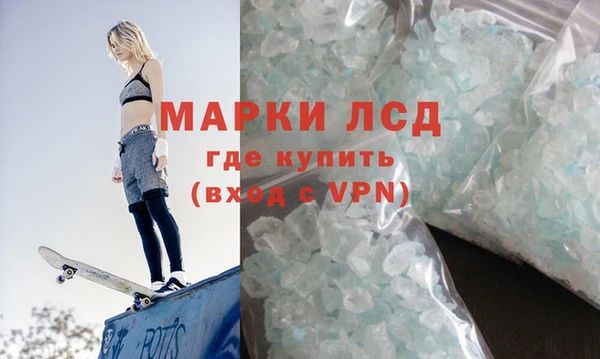 прущие грибы Бородино