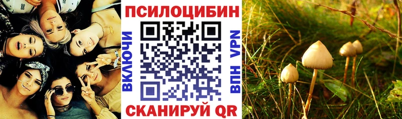 Псилоцибиновые грибы Cubensis  Гулькевичи 